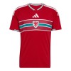 Wales Hjemmebanesæt VM Fodbold 2026 Kortærmet
